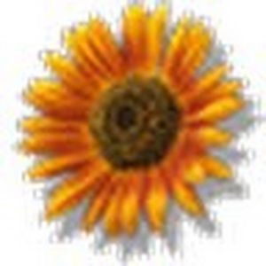 Meet your Posher, Cathy